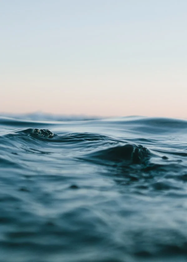 Demon Slayer Academy